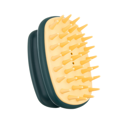 دش الدش